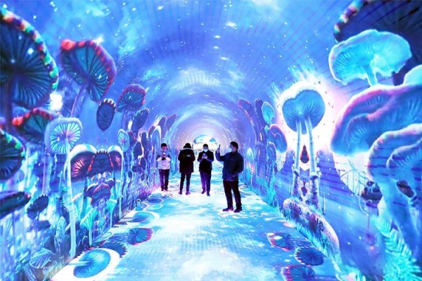 1734573492732890.jpg 001_副本.jpg